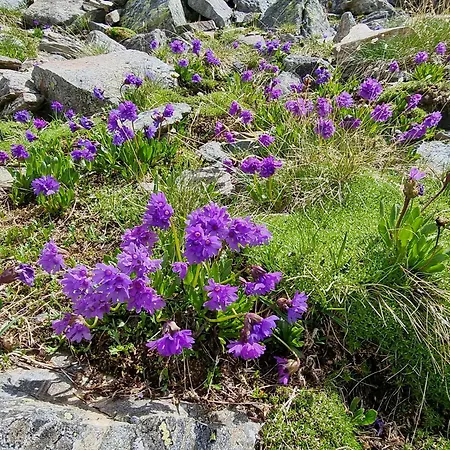 Alojamento de Turismo Rural Klampererhof *