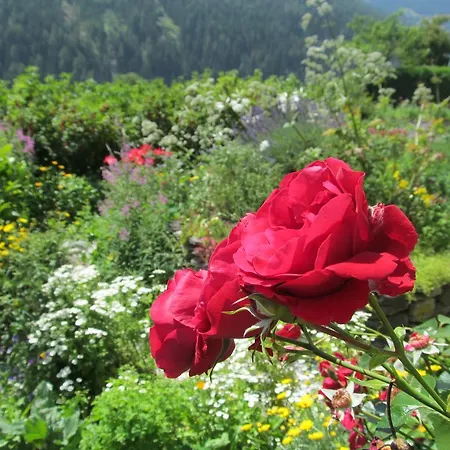 Alojamento de Turismo Rural Klampererhof *