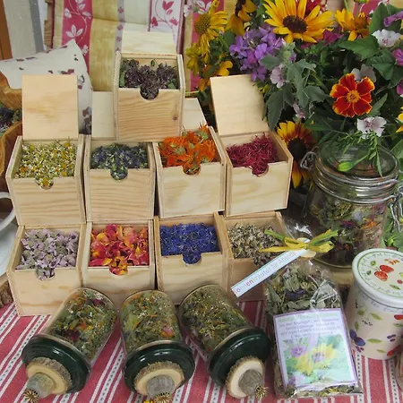 مزرعة للإقامة Klampererhof فيرجن