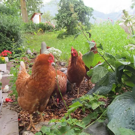 Klampererhof مزرعة للإقامة *