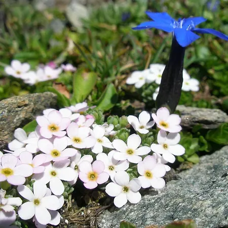 Klampererhof Фермерский дом Фирген