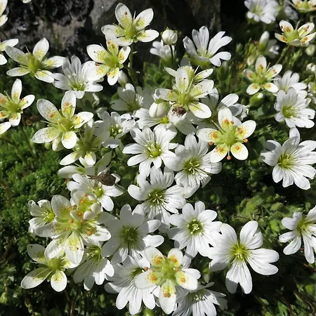 Feriegård Klampererhof *