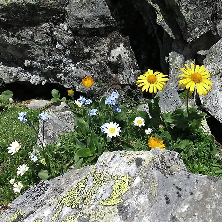 Klampererhof * Virgen