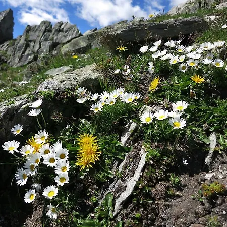 Klampererhof Фермерский дом *