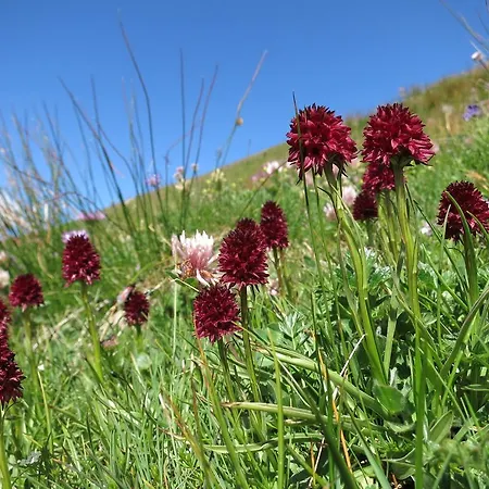 Klampererhof