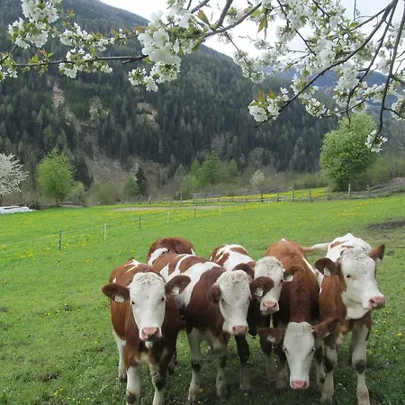 Фермерский дом Klampererhof *