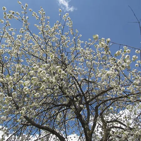 Klampererhof مزرعة للإقامة *