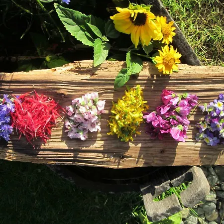 Klampererhof * Фирген