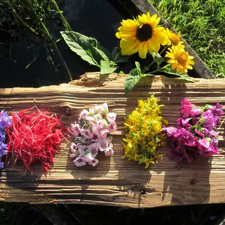 مزرعة للإقامة Klampererhof *