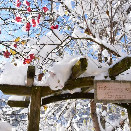 Klampererhof فيرجن