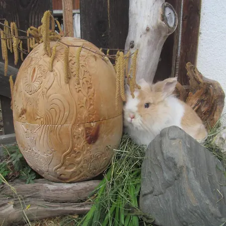 مزرعة للإقامة Klampererhof فيرجن