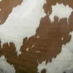 Klampererhof * Virgen