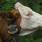 Klampererhof *