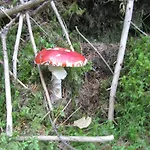 Klampererhof