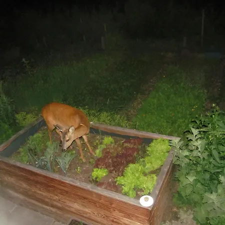 Klampererhof Farmház *