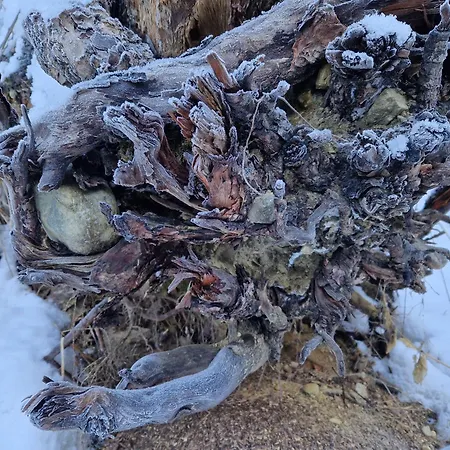 Farmház Klampererhof