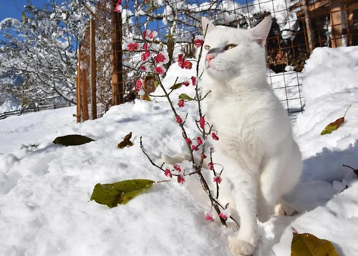 Klampererhof Farmház *