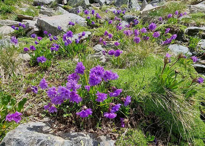 Farmház Klampererhof *