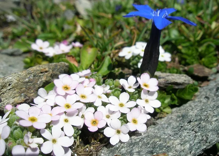 Klampererhof Farmház Virgen