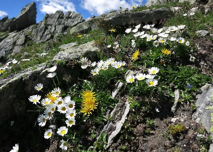 Klampererhof Farmház *
