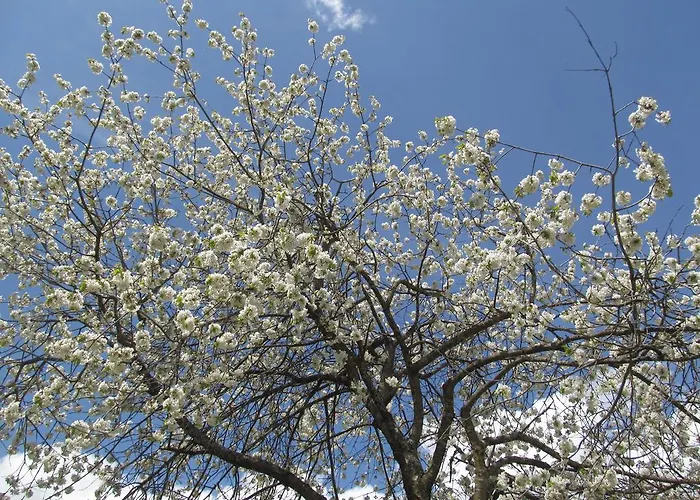 Klampererhof Farmház *