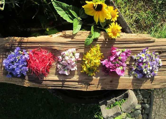 Klampererhof * Virgen