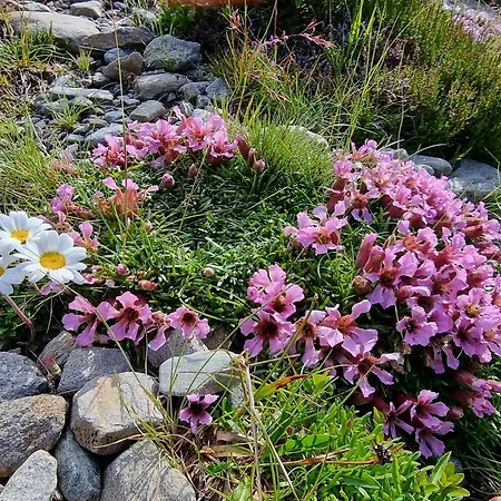 Klampererhof Farm stay