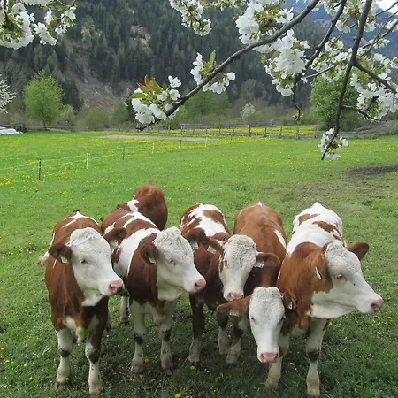 Klampererhof Farm stay