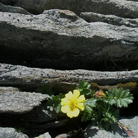Klampererhof Virgen