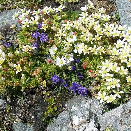 Klampererhof