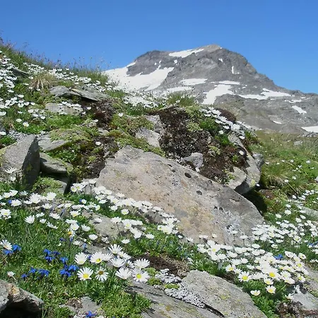 Klampererhof * Virgen