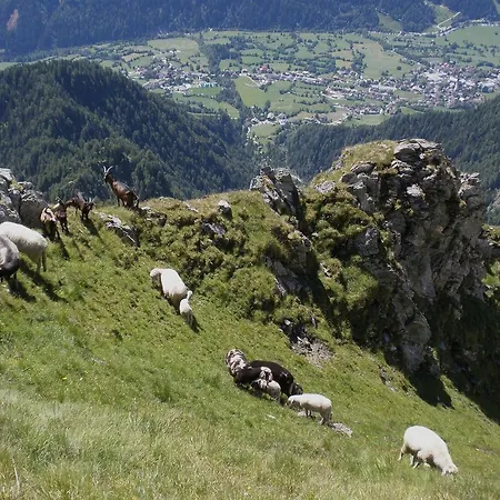 Klampererhof Farm stay *