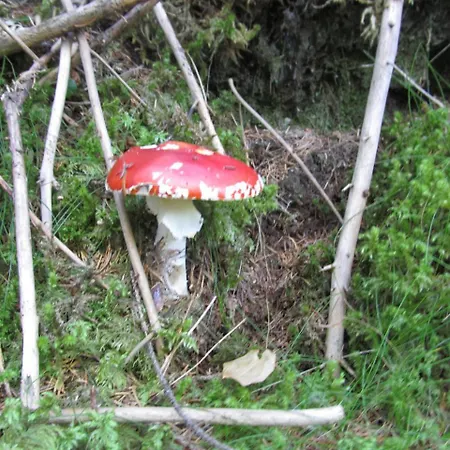 Klampererhof