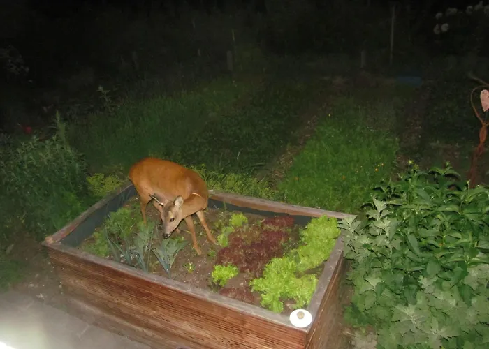 Klampererhof ファームステイ *