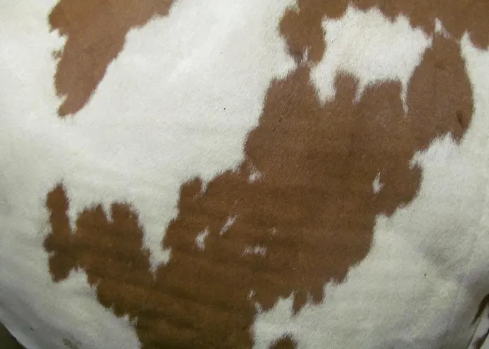 Klampererhof * ヴィルゲン