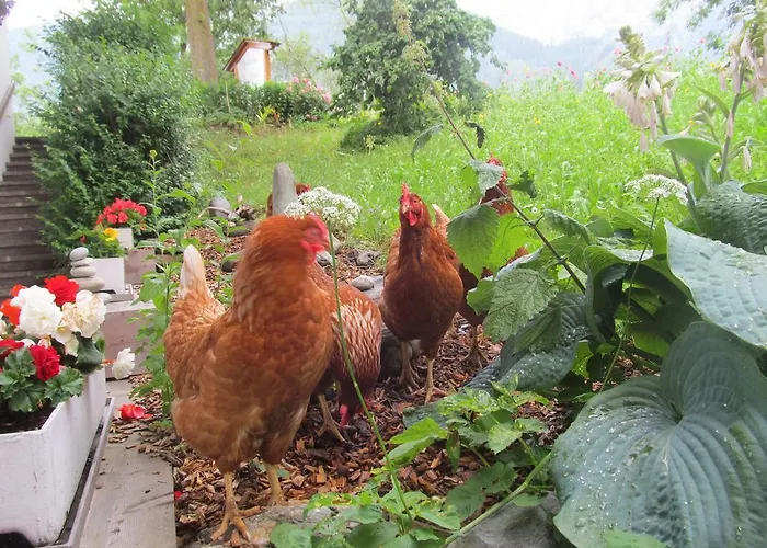 Klampererhof ファームステイ *