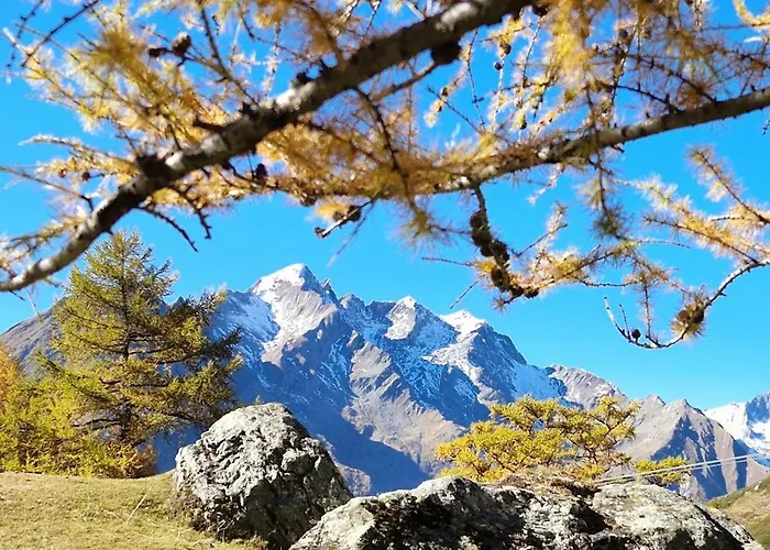 Klampererhof ファームステイ