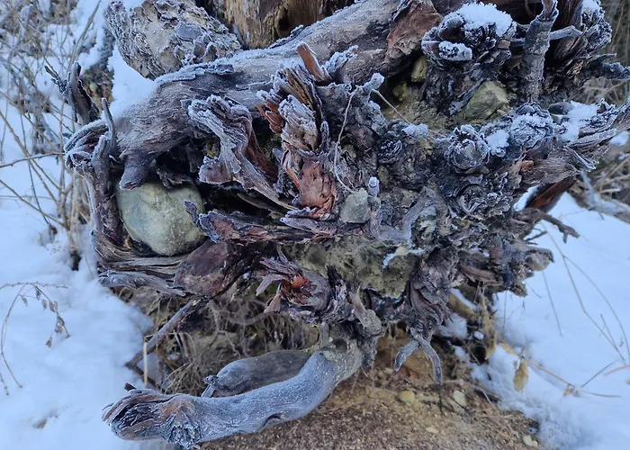 ファームステイ Klampererhof