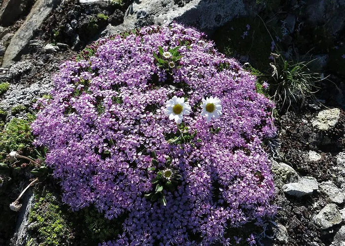 Klampererhof * ヴィルゲン