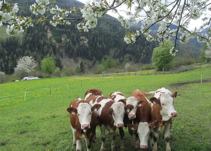 ファームステイ Klampererhof *