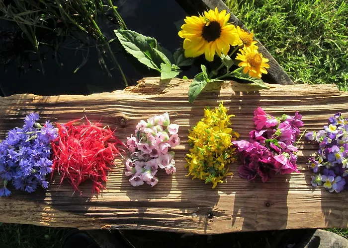 ファームステイ Klampererhof *