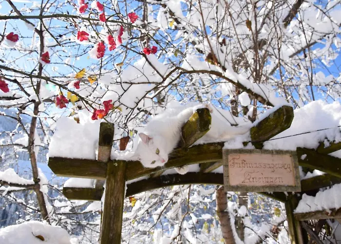 Klampererhof ヴィルゲン